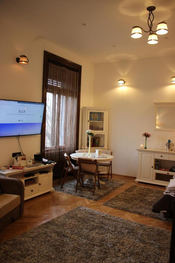 Ella Apartment Timisoara No9 Extérieur photo