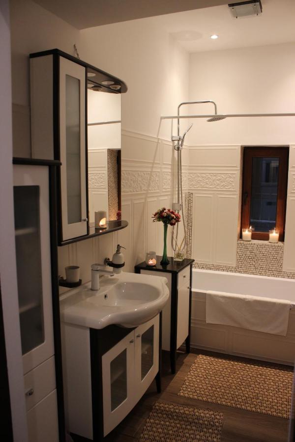 Ella Apartment Timisoara No9 Extérieur photo