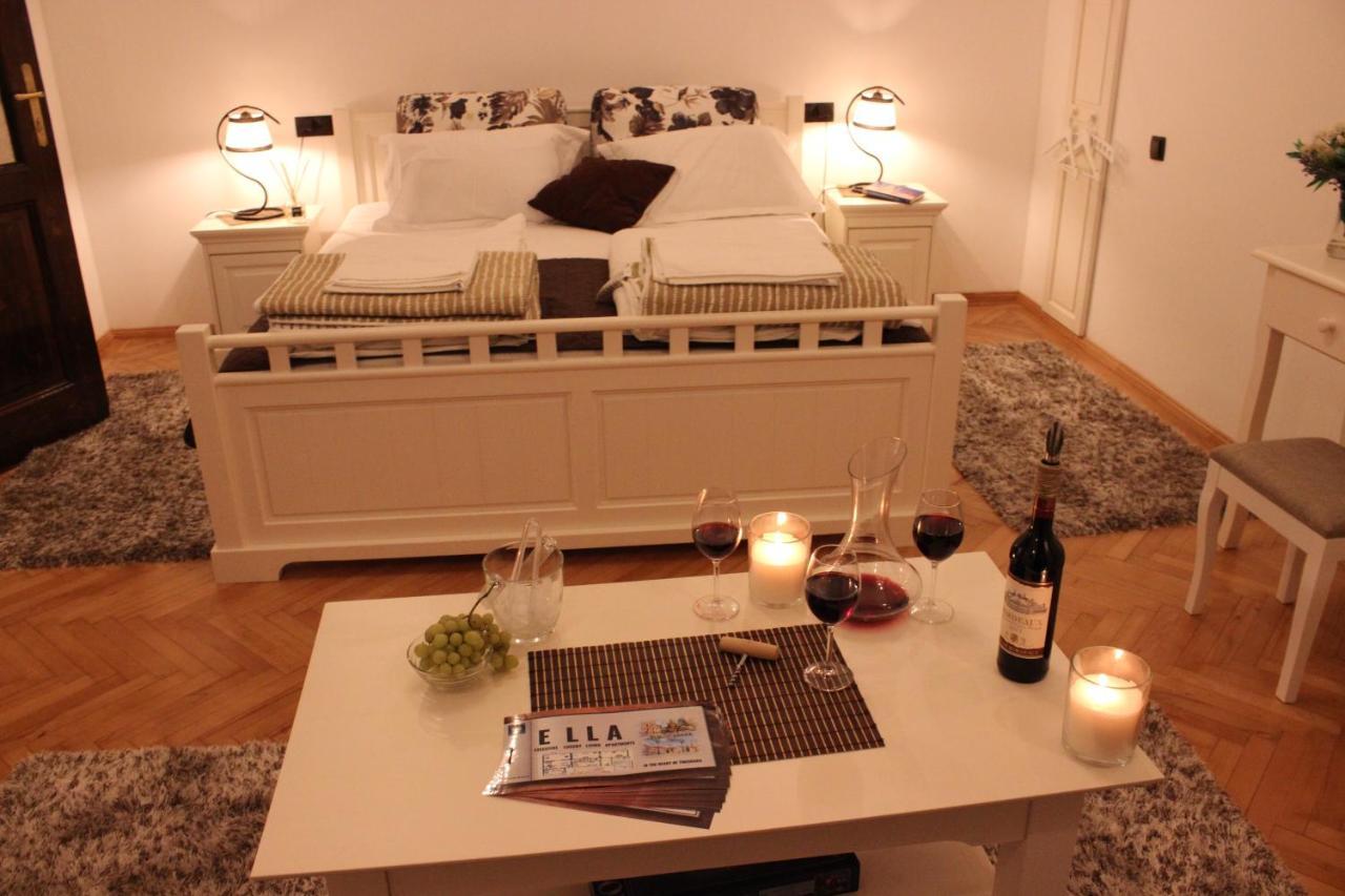 Ella Apartment Timisoara No9 Extérieur photo