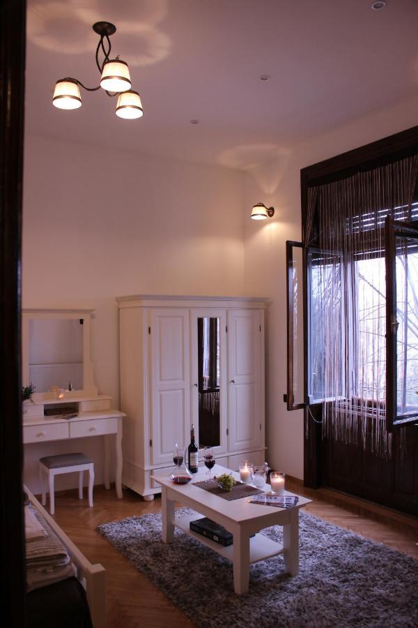 Ella Apartment Timisoara No9 Extérieur photo