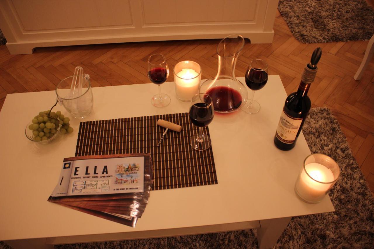 Ella Apartment Timisoara No9 Extérieur photo