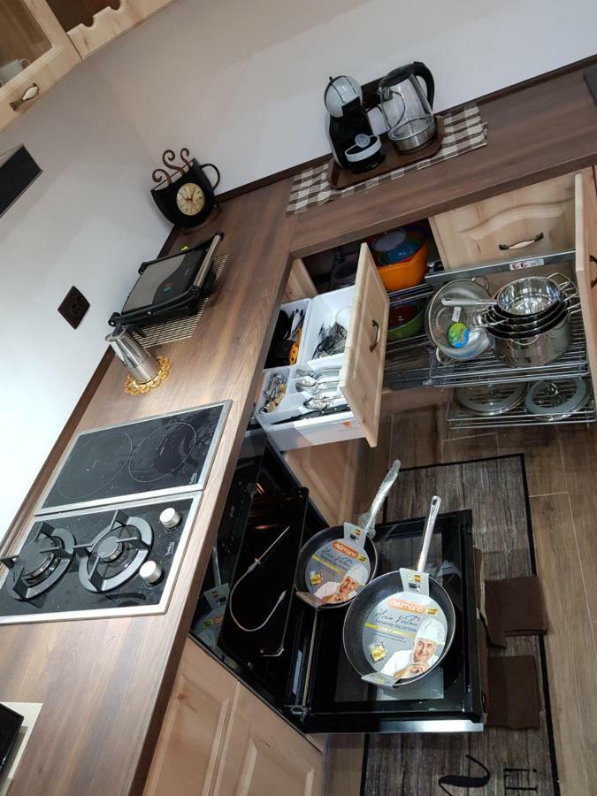 Ella Apartment Timisoara No9 Extérieur photo